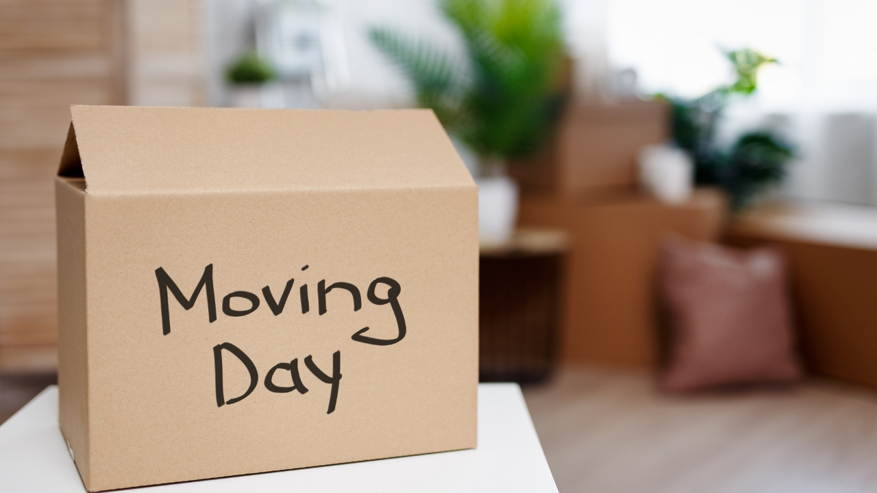 Moving Day and Beyond