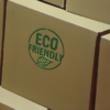 Sustainability Secrets: Lessons from Eco Friendly Entrepreneurs