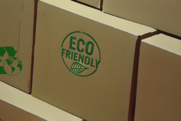 Sustainability Secrets: Lessons from Eco Friendly Entrepreneurs